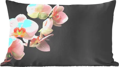 Produktbild von MuchoWow® Zierkissen Sofakissen Wohnzimmer Dekokissen 60x40 cm Orchidee - Blumen - Rosa - Stilleben - Flora - Kopfkissen - Polster mit Foto
