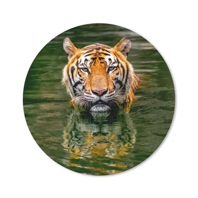 Produktbild von MuchoWow® Mauspad Mousepad Tiger im Wasser 40x40 cm - Mousepads - Maus Mat - Pad - Mausunterlage - Schreibtisch Accessoires