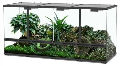 Productafbeelding van TerrAtlantis Glazen reptielen terrarium 132 x 45 x 60 cm met ventilatie en slot
