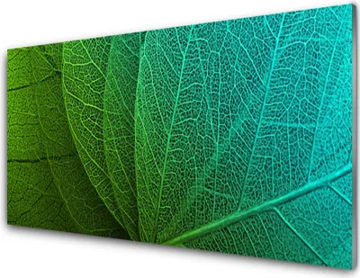 Produktbild von Acrylglasbilder 100x50 Wandbild Druck Abstrakte Blätter Pflanzen