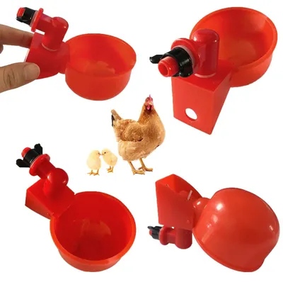 Productafbeelding van Automatische Drinkbakken - 15 Stuks - Duurzaam PP - Waterdispenser voor Vogels - Afneembare Kom - Leckvrij Ontwerp