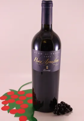 Produktbild von Puer Apuliae - 2003 - Weingut Rivera