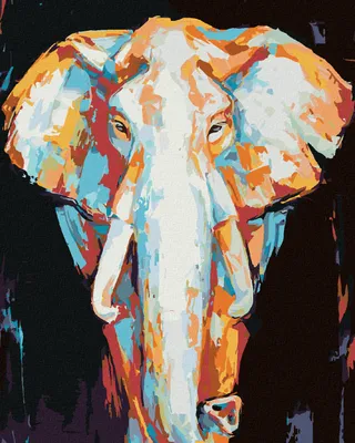 Produktbild von Zuty - Malen nach Zahlen - BUNTER ELEFANT AUF SCHWARZEM HINTERGRUND, 40x50 cm, mit Keilrahmen (bereits gespannt)