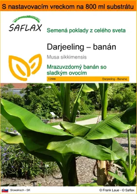 Obrázok produktu pre SAFLAX Garden in the bag - Darjeeling – banán - Musa sikkimensis - 5 Semená - S pestovateľským substrátom v praktickom samostaviteľnom vrecku