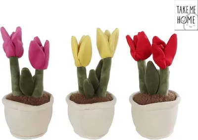 Immagine prodotto di Portami a casa - Tulipano di peluche - 1 pezzo