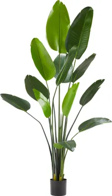 Obrázek produktu pro Umělý rajský pták Tropic, realistický - 180 cm