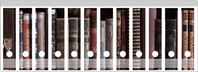 Produktbild von Wallario Ordnerrücken Sticker, selbstklebend für breite Ordner, 12 Stück, Motiv Bücherregal mit alten Büchern