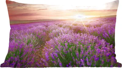 Produktbild von MuchoWow® Zierkissen Sofakissen Wohnzimmer Dekokissen 60x40 cm Lavendel - Sonne - Blumen - Kopfkissen - Polster mit Foto