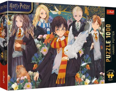 Produktbild von Harry Potter Premium Plus Kvalitní plakátové puzzle (1000 dílků)