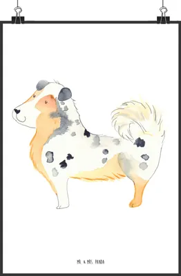 Produktbild von Mr. & Mrs. Panda Bild Hund Australien Shepherd DIN A1 - Weiß - Geschenk, Wandbild, drucke, Sprüche, wanddeko, Posterdruck, Spruch, Hundeliebe, Kunstdruck