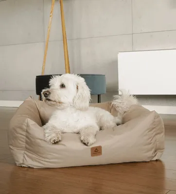 Produktbild von Animood Hundebett Haustierbett Maurice cappuccino 57x50x17cm