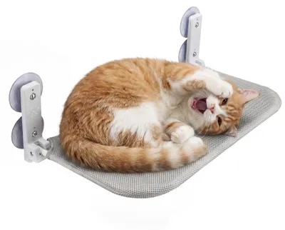 Image de Hamac pour chat Fudajo, 30 x 60 cm, gris clair, hamac pour chat à fixer à la fenêtre, jusqu'à 10 kg, lit pour chat avec ventouses pour une installation sur le rebord de fenêtre