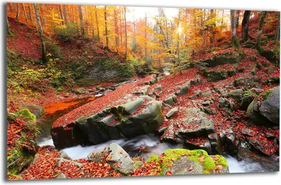 Produktbild von Herdabdeckplatte Glaskeramikkochfeld-Abdeckung Spritzschutz Glas 80x52 Landschaft
