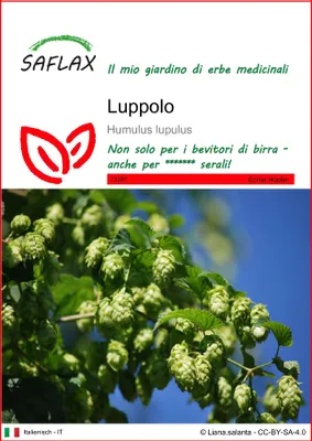 Immagine prodotto di SAFLAX  - Luppolo - 50 semi - Humulus