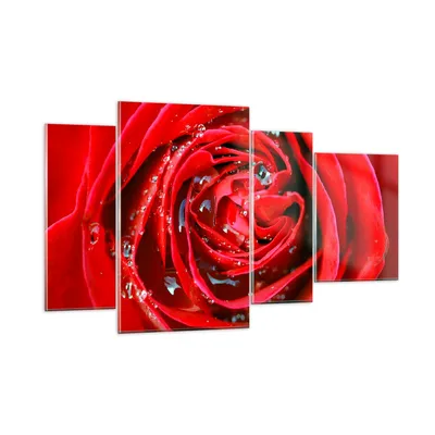 Produktbild von Bilder auf glas - Rose Blume Blütenblätter Tau - 120x70cm - Glasbilder - Wandbilder - Kunstdruck - zum Aufhängen bereit - Wanddekoration aus Glas - Glas Bilder - Wandbild auf Glas - GDL120x70-1518