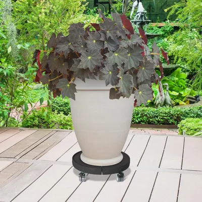 Immagine prodotto di TolleTour TolleTour Rullo per piante Rullo per fiori Piedistallo Tavola mobile fino a circa 200 kg Nero