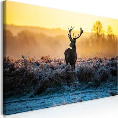 Image de Tableau mural Mega XXXL Cerf 250x125 cm Impression artistique au format XXL en une seule pièce à monter soi-même Tableaux sur toile Tableaux modernes Décoration murale DIY Décoration d'intérieur Nature Animaux Paysages g-B-0047-ak-f