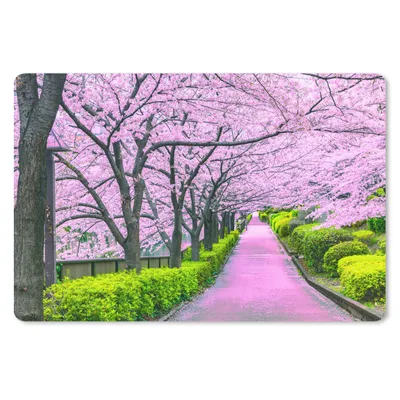 Obrázok produktu pre Podložka pod myš - Sakura - Japonsko - jar - 27x18cm - Rohožka pod myš