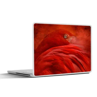 Produktbild von MuchoWow® Laptop Aufkleber Sticker Cover Tropisch - Vogel - Rot - Tiere 30x21 cm - Sticker für Laptop - Selbstklebend