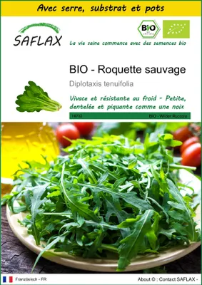 Image de SAFLAX Ensemble de culture -- Roquette sauvage - 1500 graines - Diplotaxis