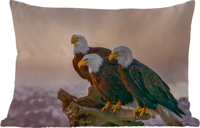 Produktbild von MuchoWow® Outdoor Kissen - Vögel - Natur - Raubvögel - Adler - 60x40 cm - Wetterfest - Lounge Kissen - Zierkissen - Kissen für Innenräume