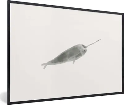 Produktbild von MuchoWow® MuchoWow® Gerahmtes Poster Narwal - Tiere - Grau - Aquarell 30x20 cm - Poster mit zchwarzem Bilderrahmen - Kunstdruck - Bild-Poster