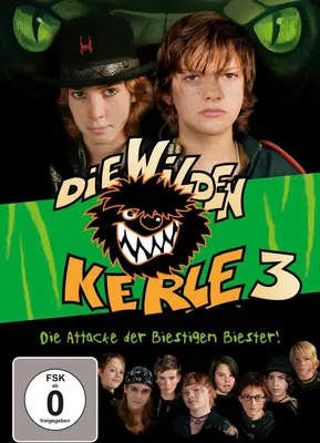 Produktbild von Die wilden Kerle 3 - Der Film