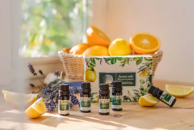 Imagen del producto de Aceite esencial de árbol de té (Melaleuca alternifolia): 10 ml