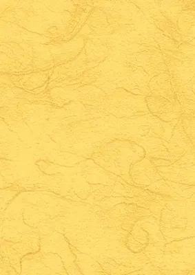 Immagine prodotto di 5XHeyda 204719510 Strohseide70x150so.g