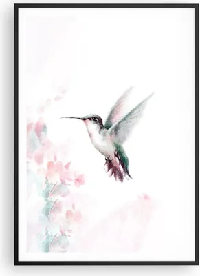 Produktbild von Gerahmtes Poster - Schwarzer Rahmen - Kolibri Aquarell Licht - 70x100 cm - Wand Bild - Wanddeko - Wandbilder - Kunstposter - Wandposter - Bilderrahmen - Bilder - Kunstdruck - P2BPA70x100-4518