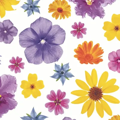 Produktbild von 20 Servietten Flower Flair - Blütenvielfalt bunt 33x33cm