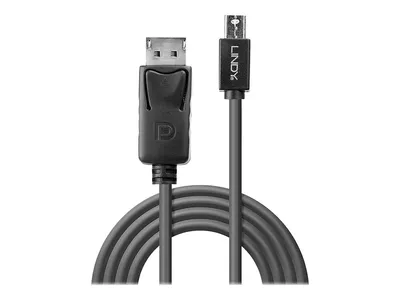 Obrázek produktu pro Lindy DisplayPort-Kabel - DisplayPort (M)