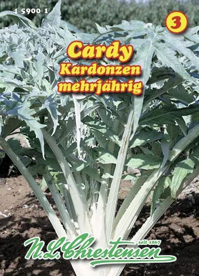 Artikelbild 1 von 'Gemüseartischocke Cardy' aus der Kategorie Gemüsesamen