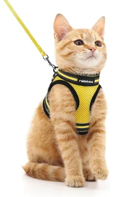 Image de Harnais pour chat avec laisse, anti-évasion, réglable, doux, réfléchissant, couleur jaune, taille M