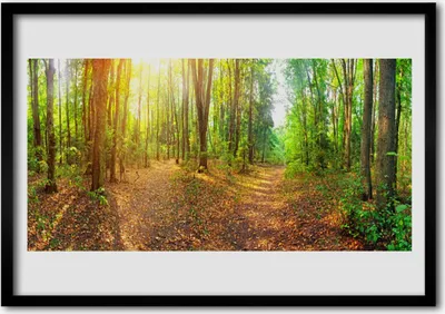 Produktbild von Bild 70x50 MDF-Rahmen Wandkunst Sun Waldnaturpfad