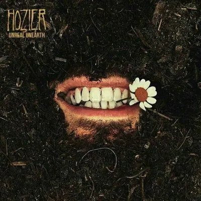 Immagine prodotto di Hozier - Unreal Unearth (2 LP)