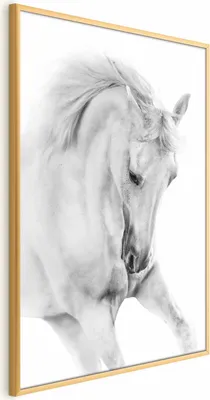 Produktbild von Posterpapier Poster - White Horse 40x60 cm Tiere g-B-0110-ao-a