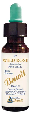 Immagine prodotto di Fiori Di Bach Benoit Wild Rose 10 Ml
