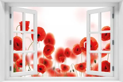 Produktbild von Wallario selbstklebendes Poster mit Fenster-Illusion - Leuchtende Mohnblumen - Rote Mohnblumenblüten, Größe: 100 x 150 cm
