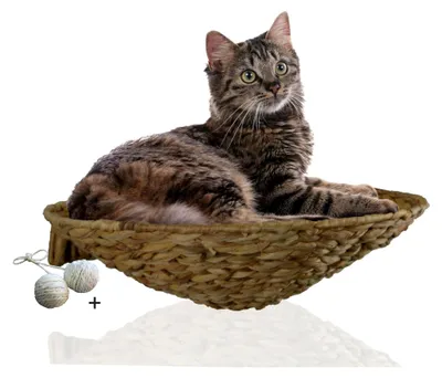 Produktbild von runde Katzenmulde zur Wandmontage | Katzenbett und Wandliege aus Wasserhyazinthe | gemütlicher Katzenkorb für die Wand | platzsparendes Katzenmöbel | Wandliege