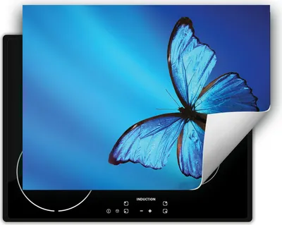 Produktbild von DarHaus Herdabdeckplatte 70x52 cm Anti Rutsch Matte Aufrollbar, blau - Schmetterling