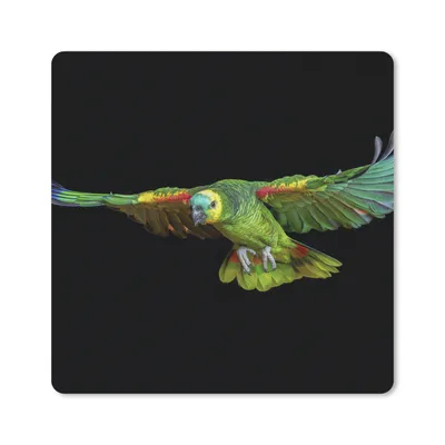 Produktbild von MuchoWow® Mauspad Mousepad Papagei - Vogel - Federn 20x20 cm - Mousepads - Maus Mat - Pad - Mausunterlage - Desk Mat - Bureauartikeln