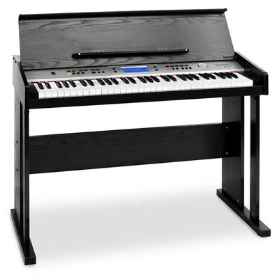 Produktbild von Schubert Carnegy-61 - Keyboard, E-Piano, 61 Tasten, 100 Rhythmen, 136 Instrumente, 8 Demosongs, Aufnahme-Funktion, Lernfunktion, Stereo-Lautsprecher, Kopfhörer-Ausgang, Doppelfunktion, schwarz