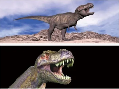 Produktbild von 1x 3D Lesezeichen Dinosaurier 15x5cm Tiere Wackelbild Wackelkarte Buchzeichen Bookmark Bücher Buch Dinos