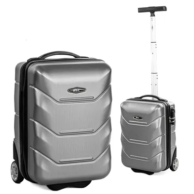 Two suitcases of different sizes on a white background.