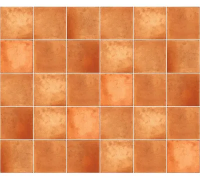Immagine prodotto di Adesivi antiscivolo per pavimenti con pellicola protettiva – 30 adesivi per piastrelle in terracotta ALGAJOLA – 50 x 60 cm – 30 adesivi da 10 x 10 cm