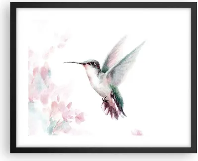 Produktbild von Gerahmtes Poster - Schwarzer Rahmen - Kolibri Aquarell Licht - 50x40 cm - Wand Bild - Wanddeko - Wandbilder - Kunstposter - Wandposter - Bilderrahmen - Bilder - Kunstdruck - P2BAA50x40-4518