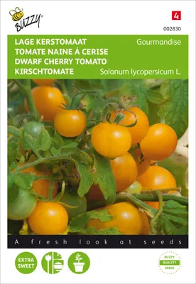 Produktbild von Tomate Gourmandise cherry | Tomatensamen von Buzzy Seeds