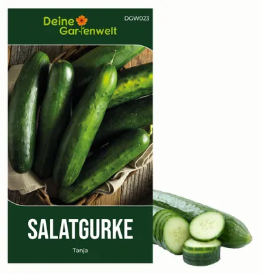 Produktbild von Salatgurke Tanja Samen - Cucumis sativus - Gurkensamen - Gemüsesamen - Saatgut für 10 Pflanzen