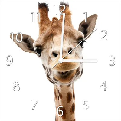 Produktbild von Wallario Design Wanduhr Giraffenkopf aus Echtglas, Größe 30 x 30 cm